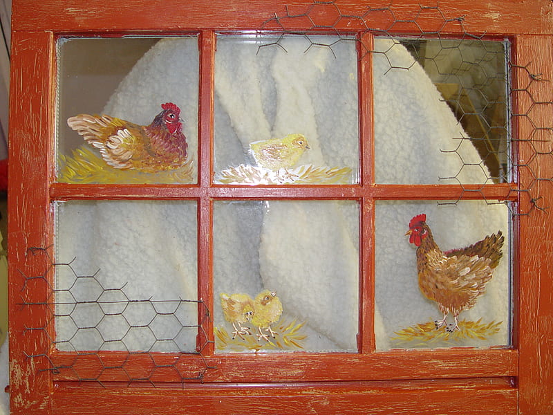 Fowl Window, mesh, window, coop, chicks, chickens, barn, HD wallpaper