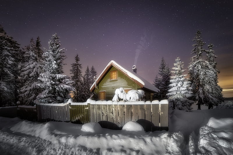 Deep Snow, fence, tree, house, evening, firs, HD wallpaper