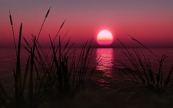 Page 5, HD sunset pink sun wallpapers