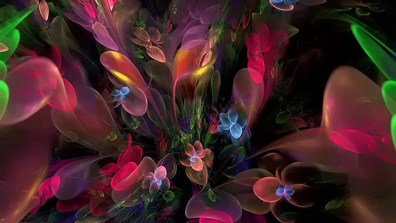 Multicolored Smoke Fractal Flowers Abstract, HD wallpaper