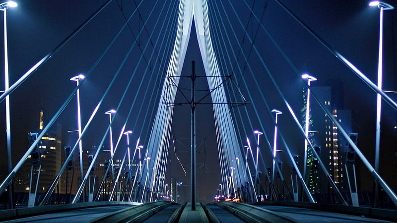 modern erasmus bridge in rotterdam at night, track, modern, bridge, lights, night, HD wallpaper