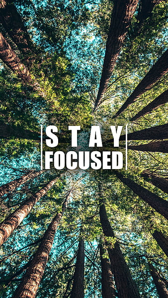 Focus you will get there Wallpapers Download | MobCup