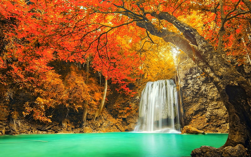 Waterfall in Thailand, forest, fall, autumn, leaves, colors, HD ...