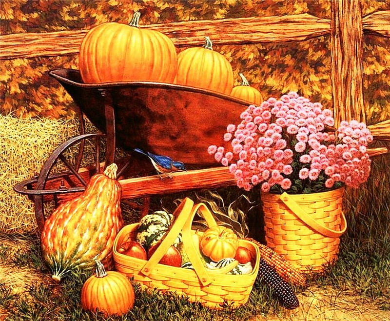 Harvest Time, baskets, corn, autumn, cart, flowers, arrangement, pumpkins, HD wallpaper
