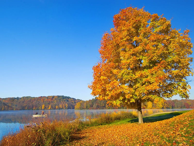 Fall Serenity, Hocking Hills, Ohio, autumn, colors, trees, lake, landscape, HD wallpaper