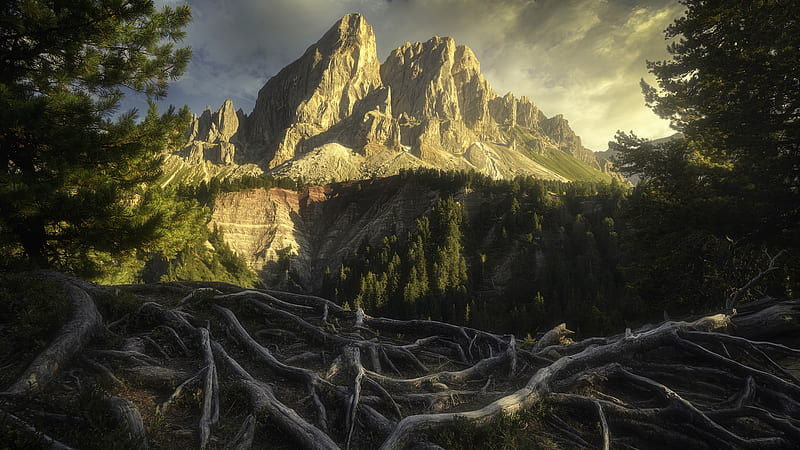 Closeup View Of Tree Roots And Landscape View Of Mountains With Sunbeam Nature, HD wallpaper