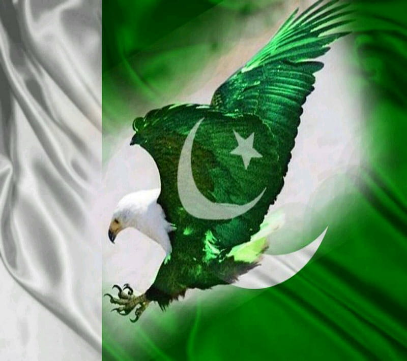 Flage nd Eagle, happy independence day of, pakistan, HD wallpaper