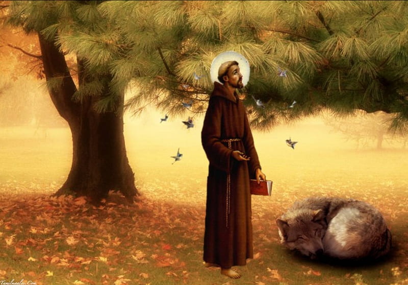 St. Francis and the wolf, christ, francis, ecology, nature, peace, wolf, HD wallpaper