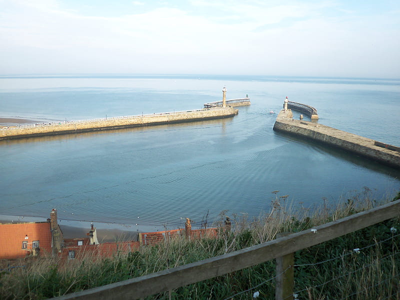 Whitby Bay UK, fence, homes, locks, sea, HD wallpaper