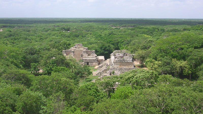 Ek Balam, Forest, Ruins, Peninsula, Mayan, Yucatan, HD wallpaper