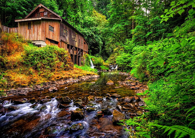 Cedar Creek Grist Mill, forest, water, stones, river, trees, HD wallpaper