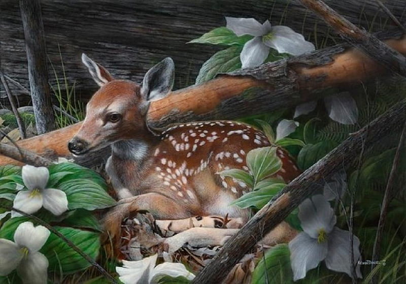 Spotted deer., forest, flower, animal, deer, log, HD wallpaper
