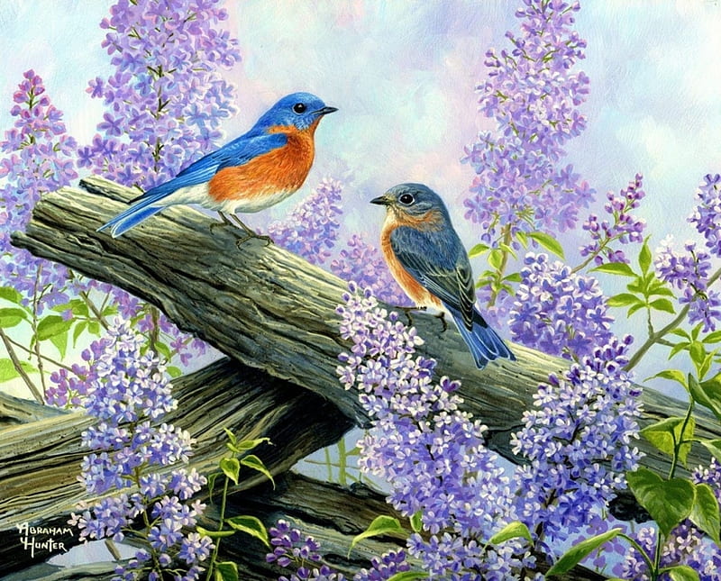 Spring, bird, painting, flower, pasari, couple, lilac, art, abraham hunter, pictura, HD wallpaper
