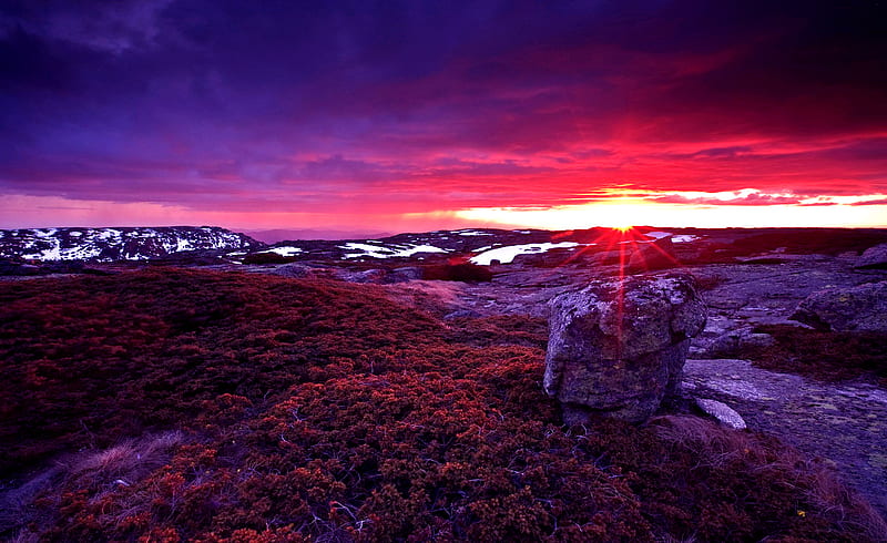 Red Color Sunset, rocks, red, pretty, sun, yellow, bonito, sunset, clouds, graphy, stones, mounts, beauty, scenery, pink, hills, sunlight, sky, purple, snow, mountains, nature, branches, scene, HD wallpaper