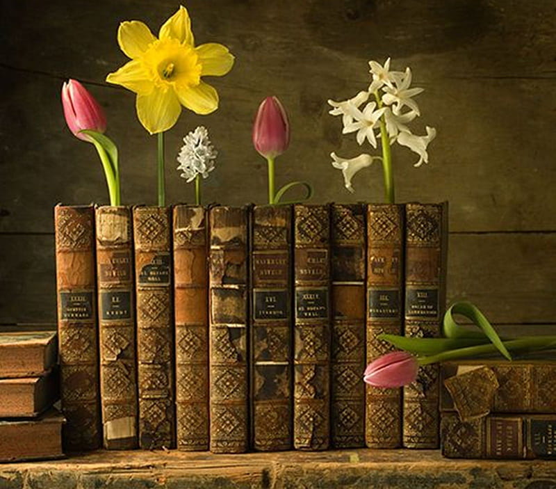 magic flowers book, art, paintings, graphy, books, flowers, bonito, old, HD wallpaper