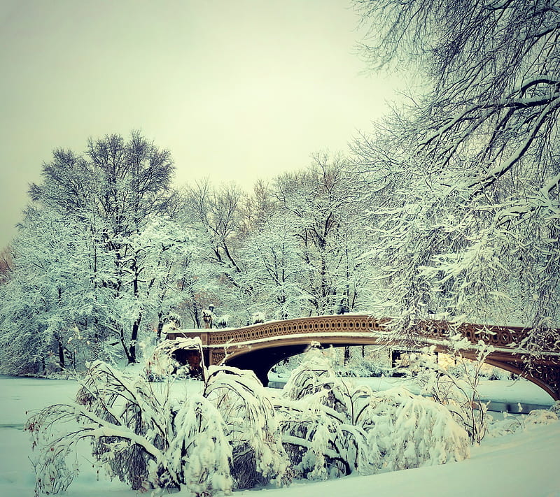 Central Park, landscape, manhattan, nature, new york, snow, winter, HD wallpaper