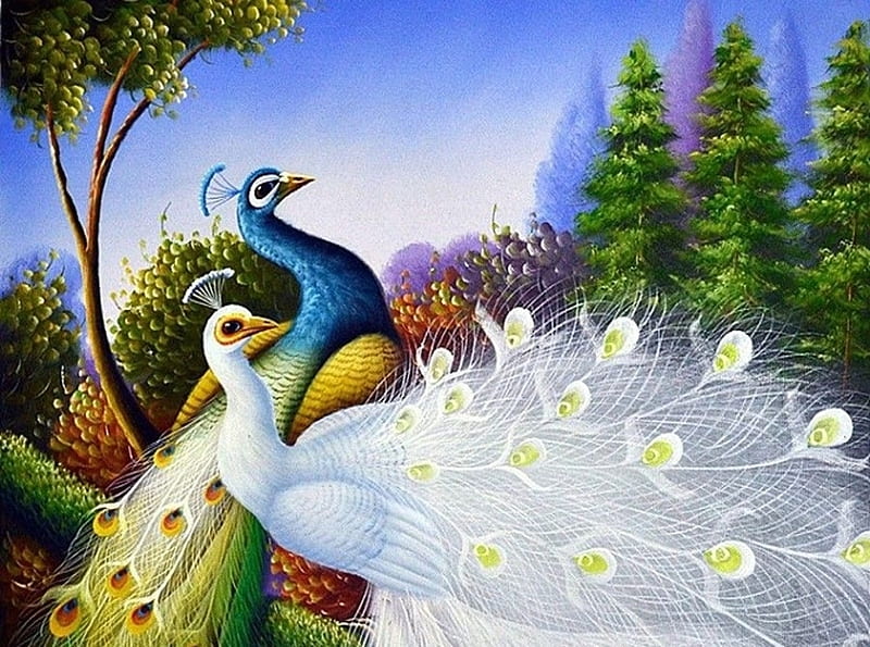 Peacocks, white, paun, art, bird, peacock, pasari, HD wallpaper | Peakpx