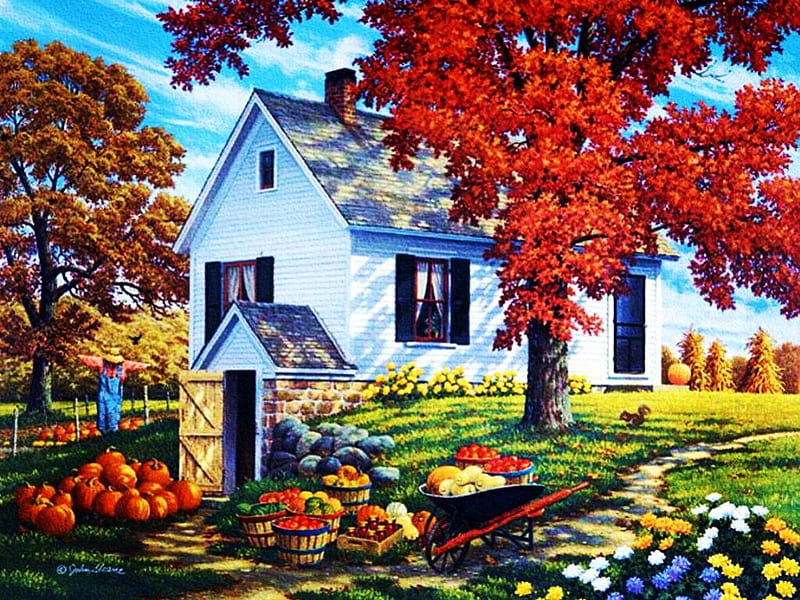 Harvest Time, autumn, flowers, colors, trees, House, pumpkins, HD wallpaper