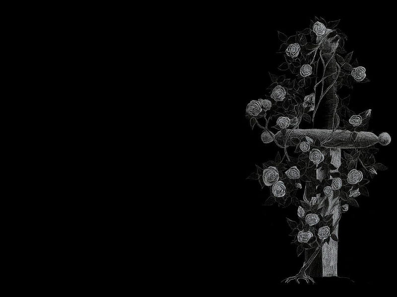 Entwined, thorns, rose bush, pretty, black and white, roses, HD wallpaper