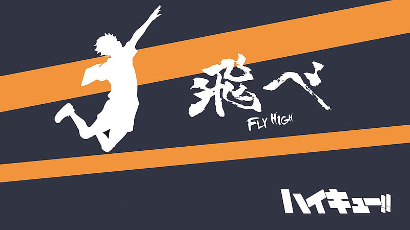 Haikyu Shoyo Hinata Fly High Anime, HD wallpaper