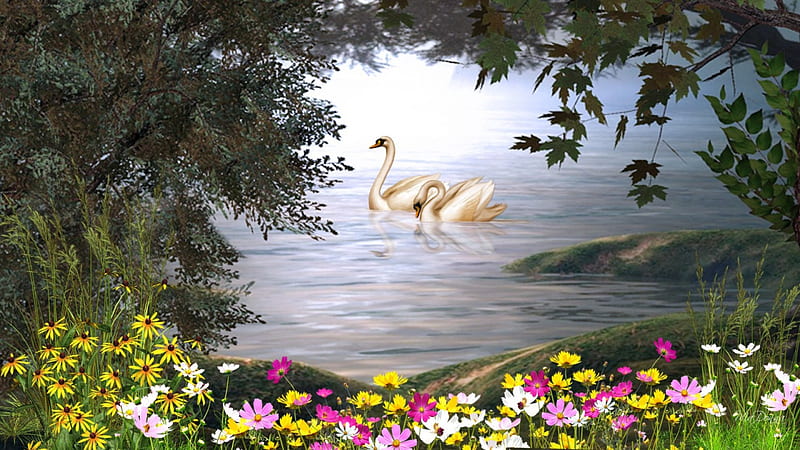 Silent Serenity, flowers, together, ripple, smooth, tranzquil, siempre, beauty, light, wild flowers, romantic, silence, spring, sky, trees, pool, swans, lake, pond, water, swim, serene, summer, HD wallpaper