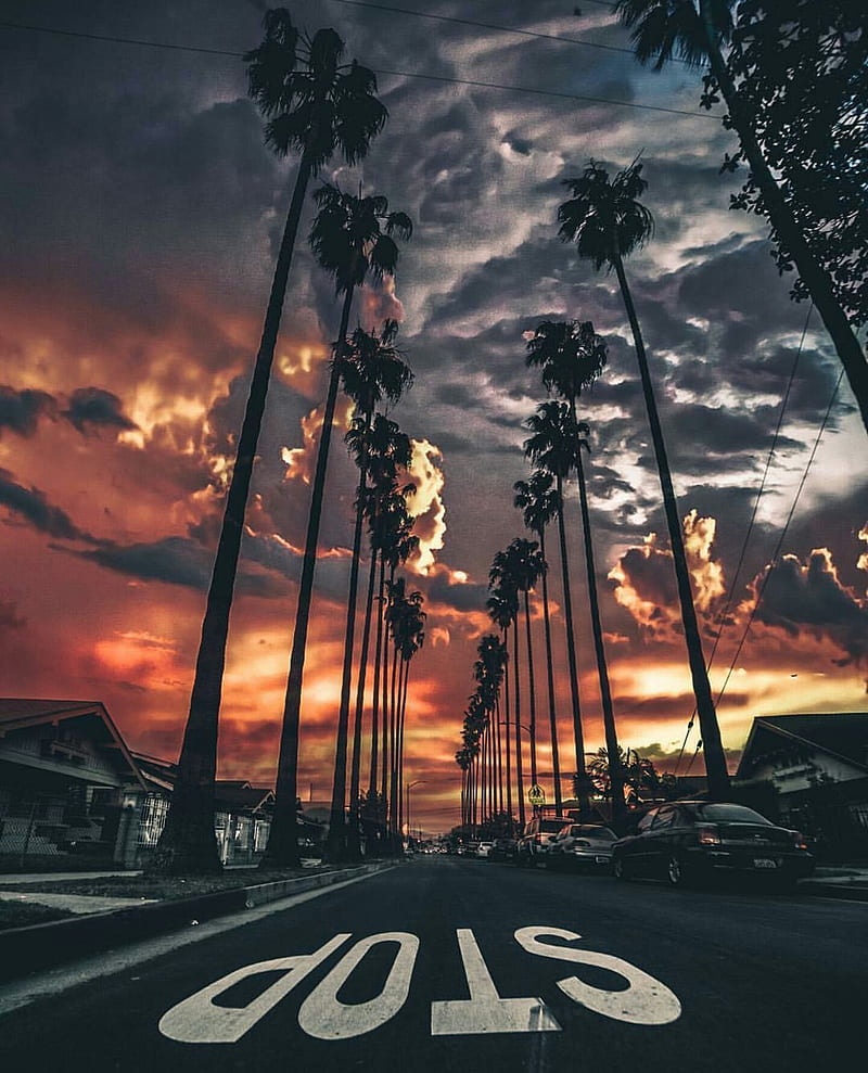 California Sunset, colorful, palm trees, HD phone wallpaper
