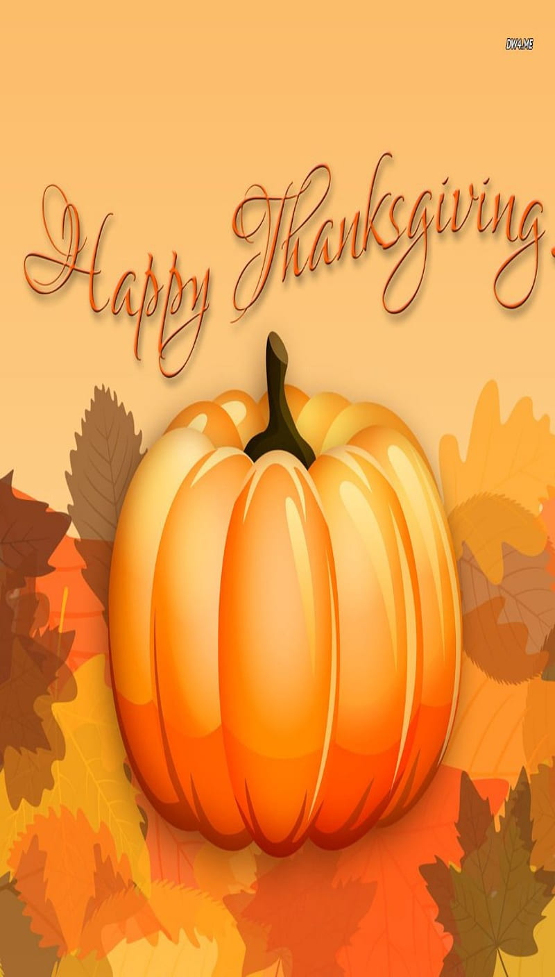 Thankful Pumpkin, autumn, fall, holiday, pumpkin, pumpkins ...