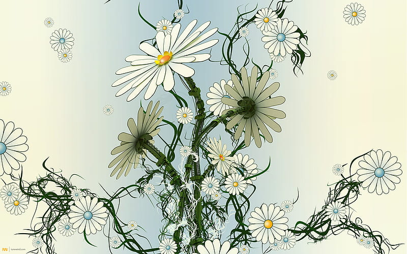 Robo camomile, flower, nature, white, camomile, HD wallpaper