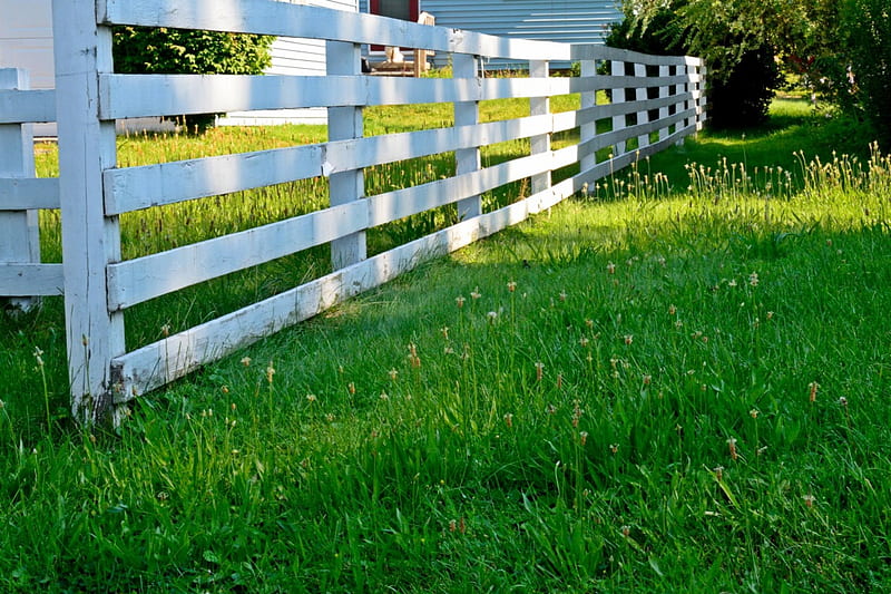 White Summer Fence, white picket fence, scenic fence, white fence, HD wallpaper
