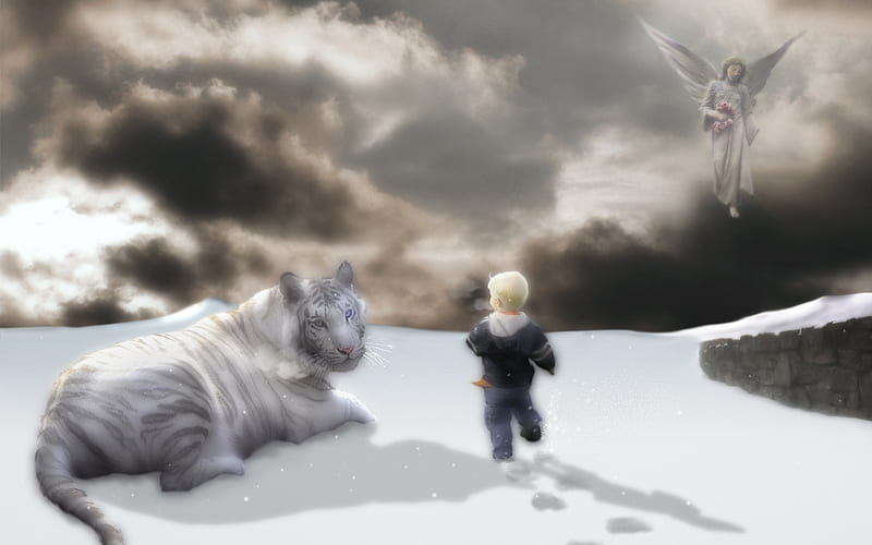 Tiger, Boy and Angel , boy, tiger, winter, angel, HD wallpaper