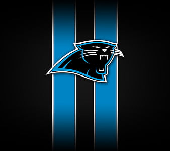 30 Carolina Panthers HD Wallpapers and Backgrounds