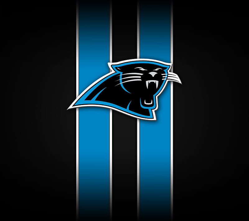 Carolina Panthers, football, nfl, HD wallpaper