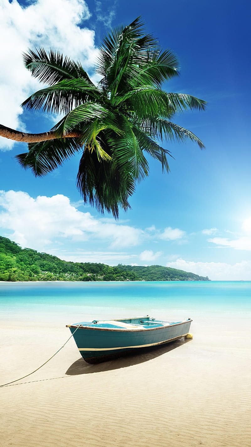 playa, tropical, landscape, beach, beaches, full flowers, vacations, palmera, sea, HD phone wallpaper