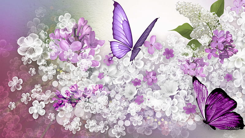 Lilac Predicition, purple, white flowers, summer, scatter, spring, lavender, butterflies, lilacs, HD wallpaper