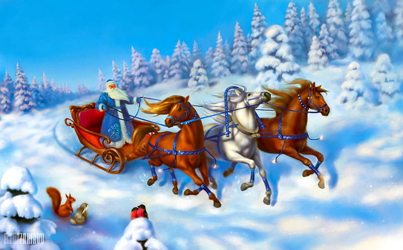 Santa with Troika, squirrel, snow, cart, horses, firs, HD wallpaper