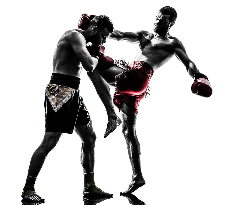 Kickboxing, art, karate, kicking, self defence, sport, western boxing, HD wallpaper