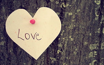 Love, tree, nature, abinandan, meenal, HD wallpaper