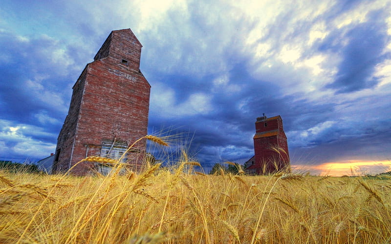 Prairie Sunset, grain, nature, elevator, sunset, field, HD wallpaper