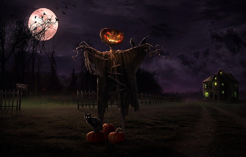 Halloween Scarecrow, moon, house, bats, scarecrow, cat, pumpkins, HD wallpaper