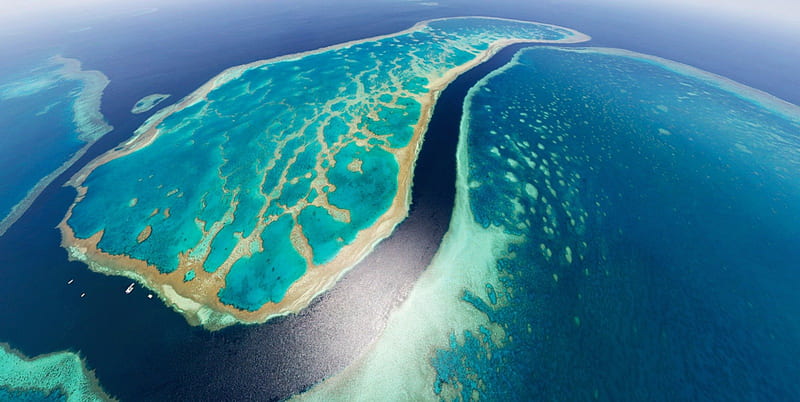 THE GREAT BARRIER REEF, AUSTRALIA, aerial view, beach, water, coral reef,  oceanscape, HD wallpaper | Peakpx