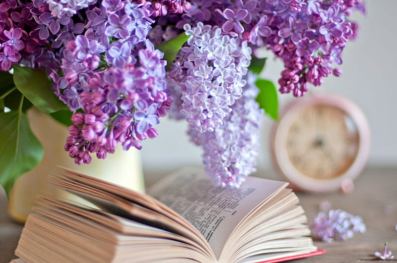 Still Life, lilac, book, flowers, nature, lilacs, HD wallpaper