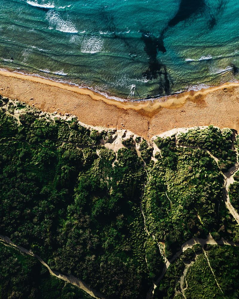 coast, sea, vegetation, beach, sand, surf, aerial view, HD phone wallpaper