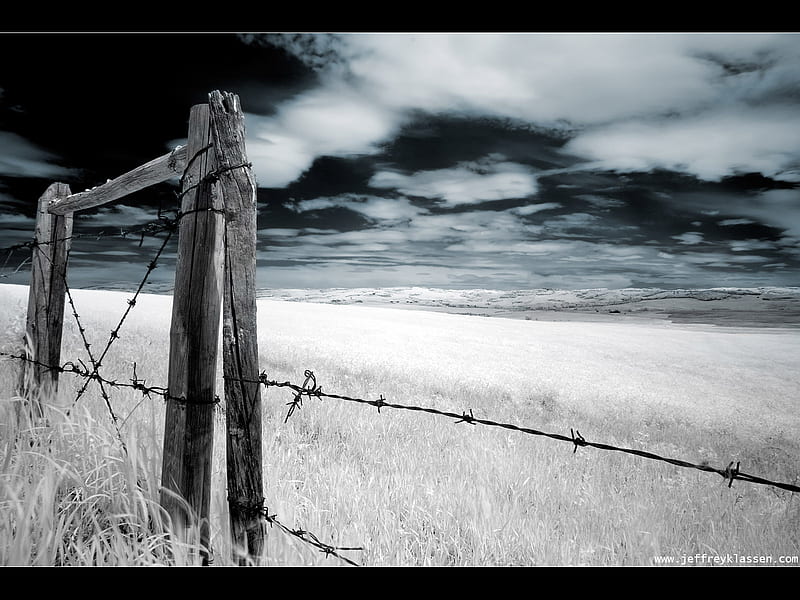 Eerie fence and field, fence, awesome, sky, field, barbed wire, HD wallpaper