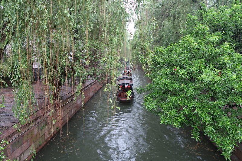 The small boat is rocking on the river, boat, China, tour, river, willow trees, HD wallpaper