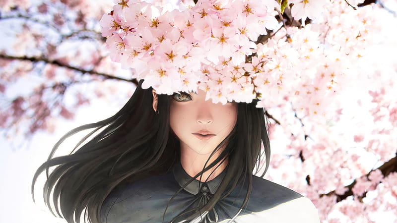 anime girl, semi realistic, sakura blossom, long brown hair, Anime, HD wallpaper