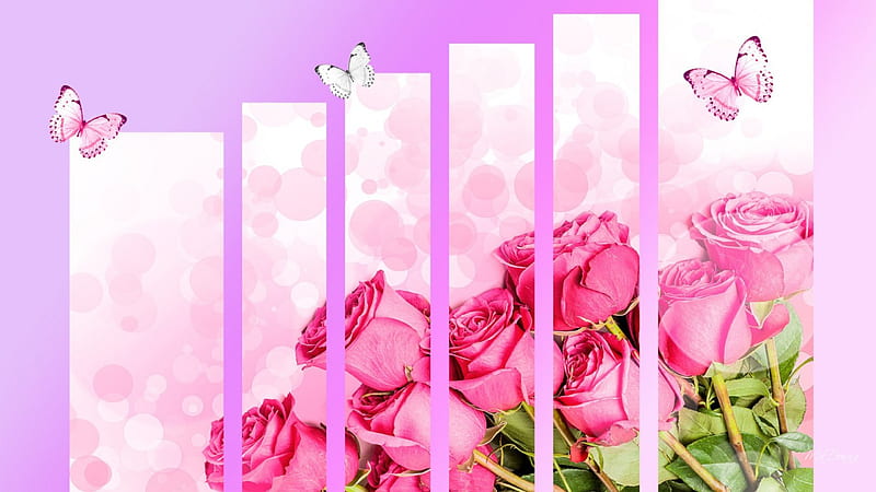 Roses So Special, art, Bokeh, special, panels, butterflies, spring, roses, anniversary, butterfly, summer, papillon, flowers, pink, HD wallpaper