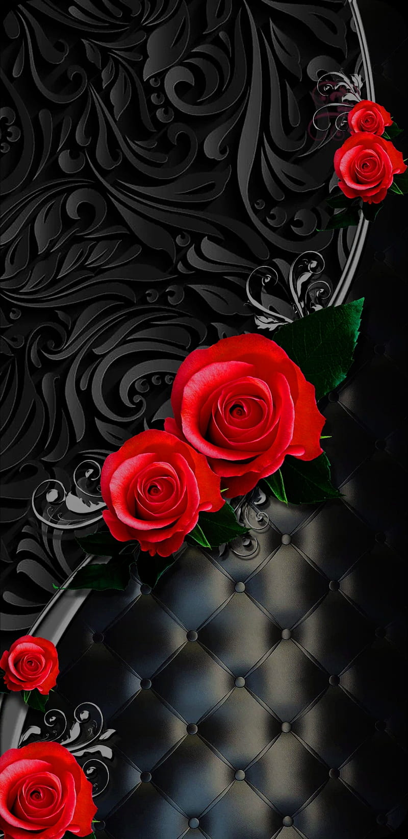 BlackBeauty, black, love, roses, beauty, bonito, pretty, red, HD ...