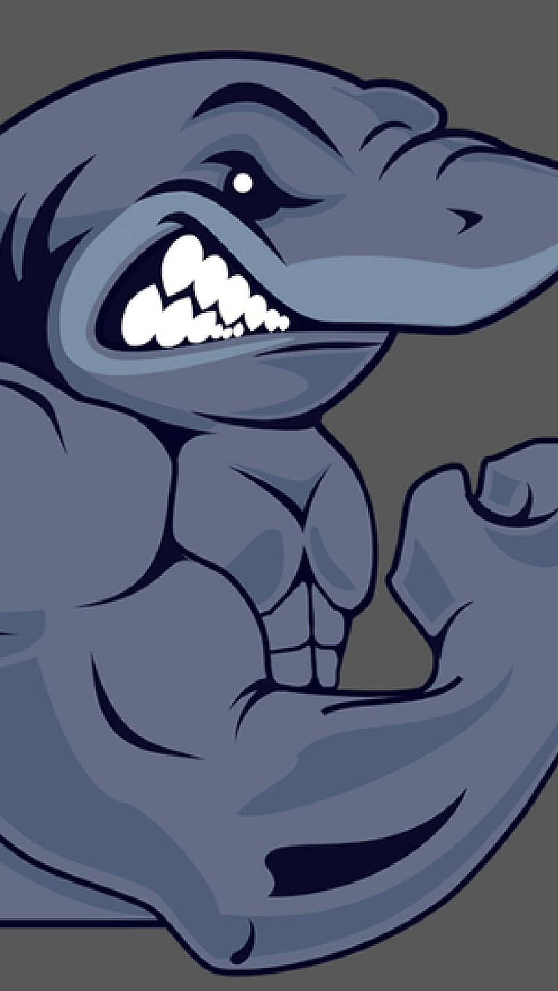 Gym shark gym strong HD phone wallpaper  Peakpx