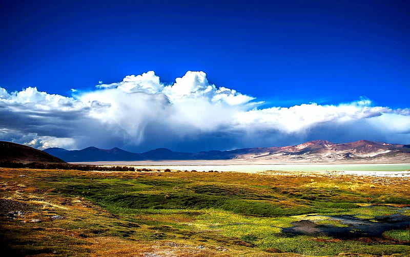 Salar Del Huasco National Park, grass, mountains, Chile, wetland, Atacama desert, clouds, salt flat, field, HD wallpaper