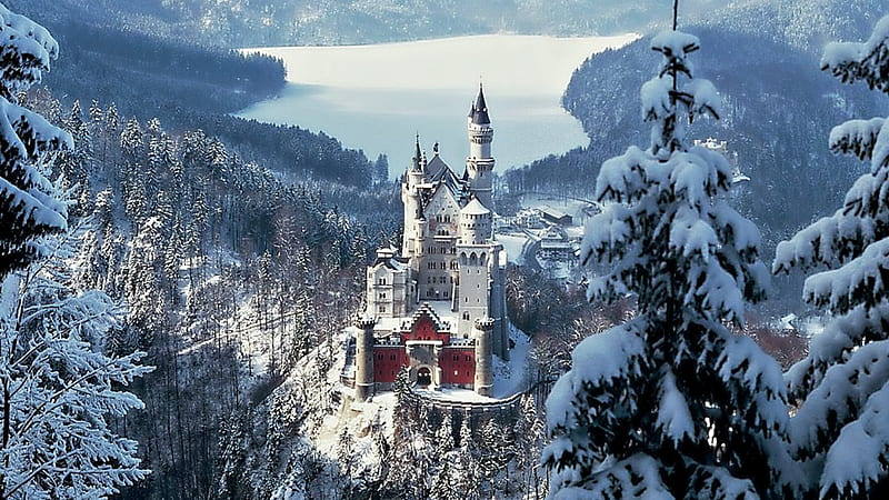 Neuschwanstein Castle,Germany, medieval, snow, trees, castle, lake, winter, HD wallpaper